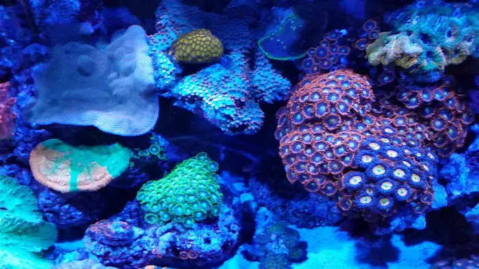 Aquatic Evolution LLC 12