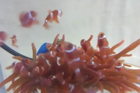 A Reef Oasis