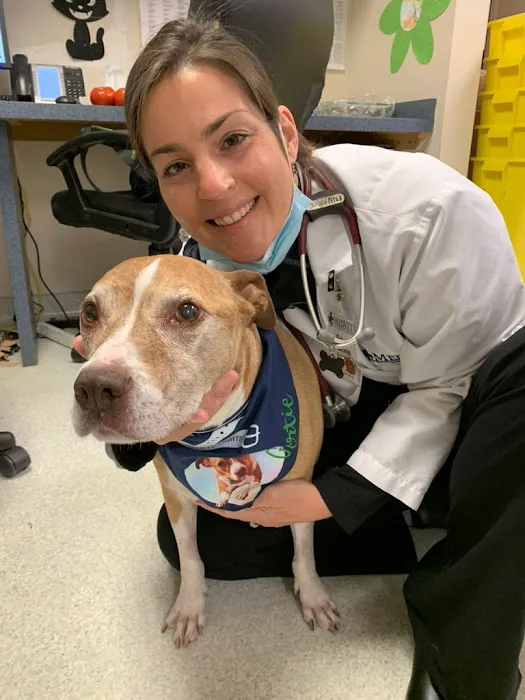 Malone Veterinary Cancer Consulting 12