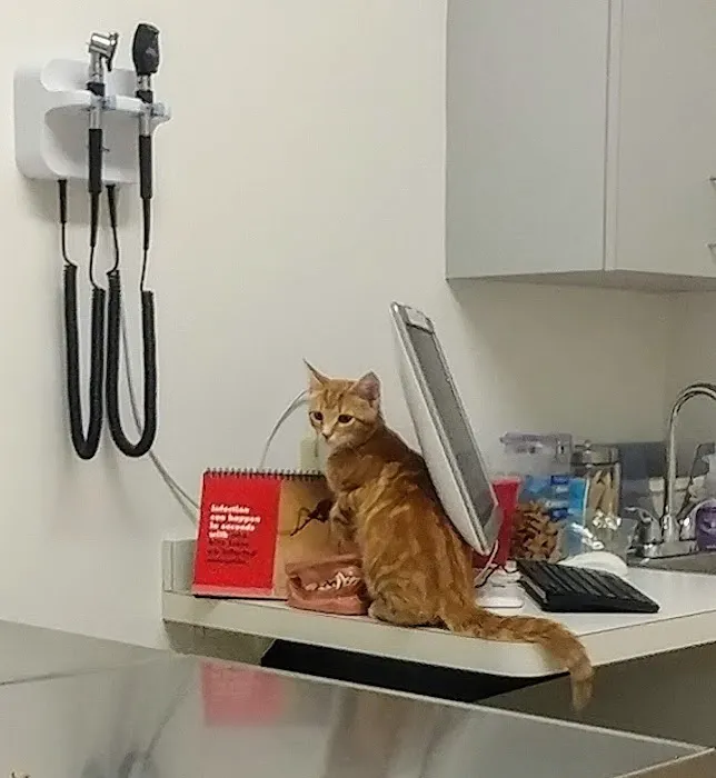Total Veterinary Care-Grove City 12