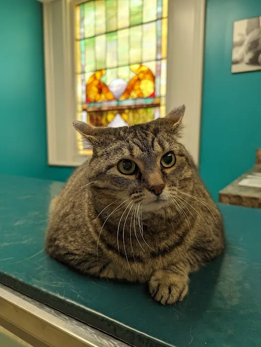 Concord Chapel Animal Hospital 12