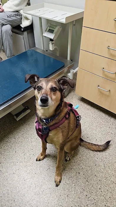 Concord Chapel Animal Hospital 12