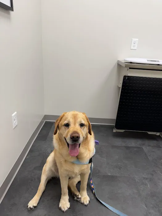 PAWS Veterinary Urgent Care 5