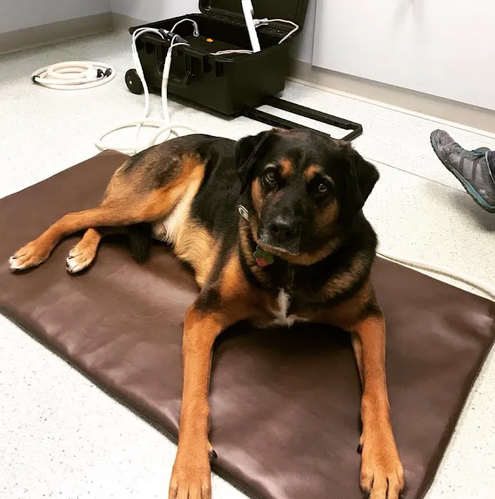 Lifetime Pet Wellness Center 12