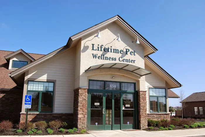 Lifetime Pet Wellness Center 12