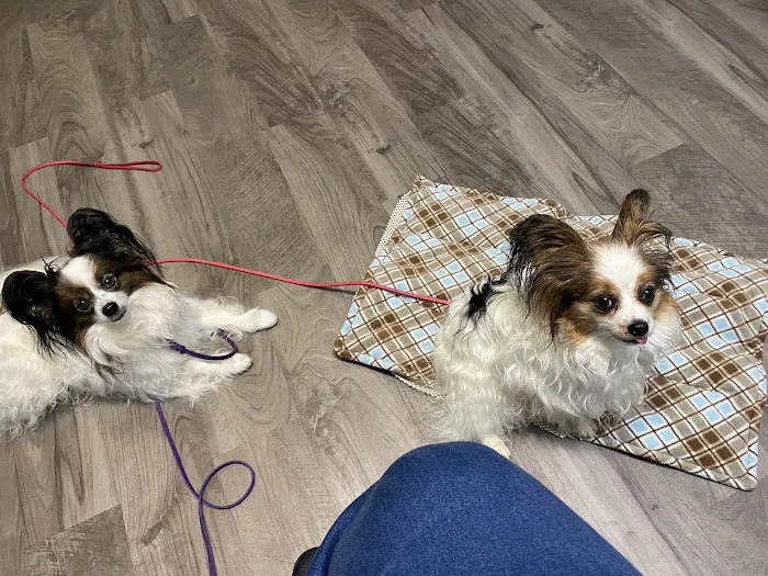 Lifetime Pet Wellness Center 12