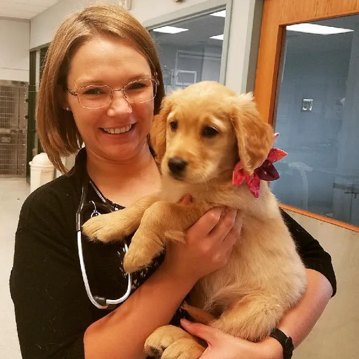 Lifetime Pet Wellness Center 12