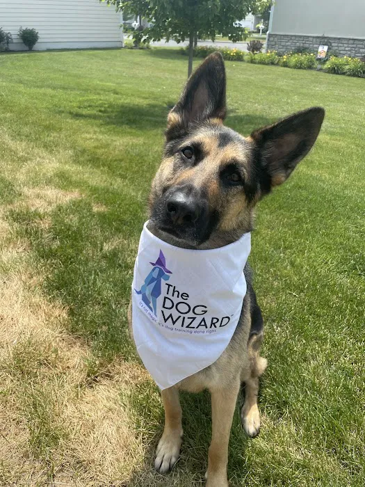 Lifetime Pet Wellness Center 12