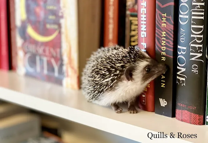 Quills and Roses 12