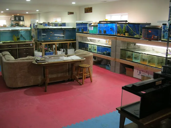 Allred Aquatics 12