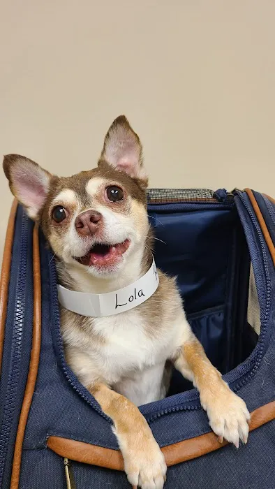 Muirfield Animal Hospital 12