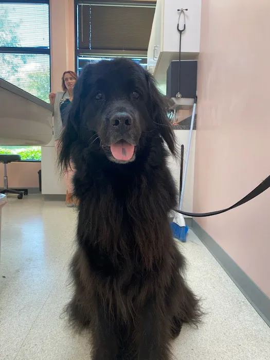 Muirfield Animal Hospital 12