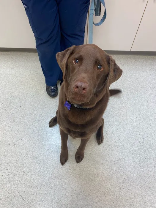 Muirfield Animal Hospital 12