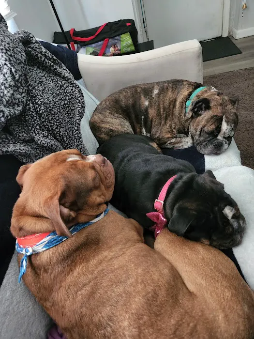 Muirfield Animal Hospital 12