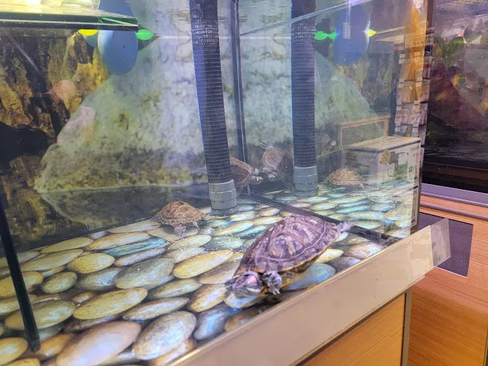 Petco 12