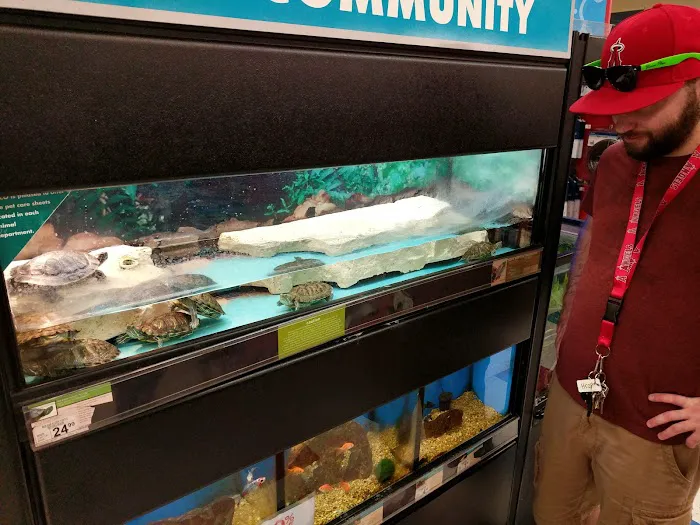 Petco 12