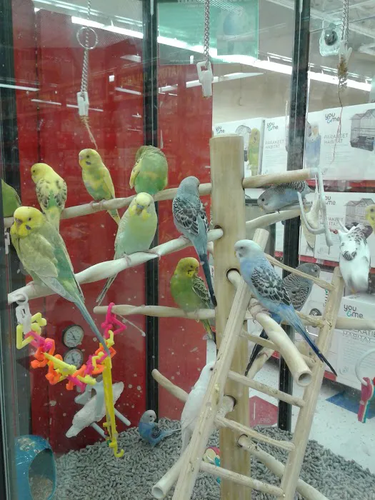 Petco 12