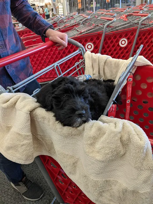 Petco 12