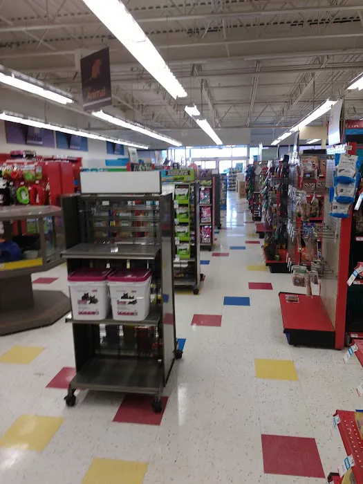 Petco 12