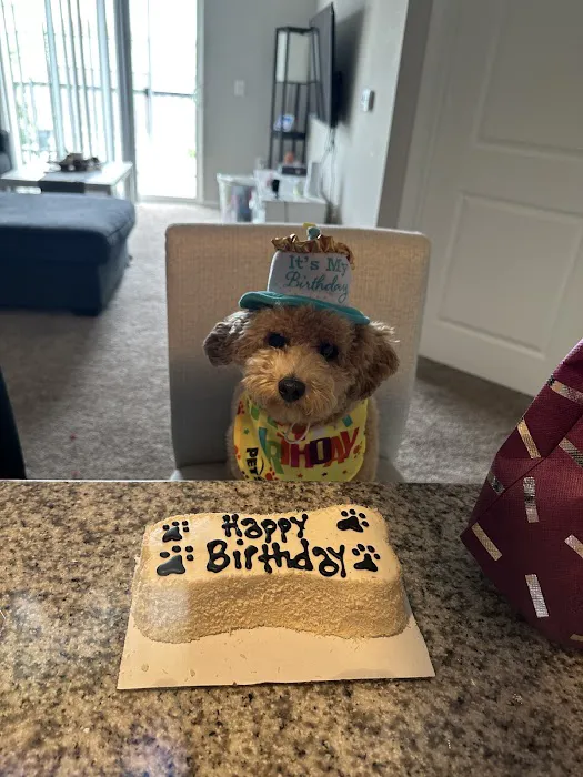 Banfield Pet Hospital 12
