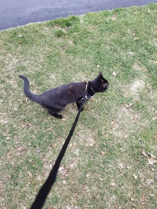 Banfield Pet Hospital 12