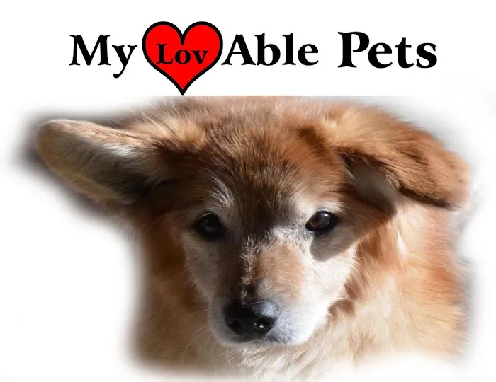My Lovable Pets 12