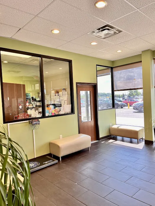 My Vet Animal Hospital 12