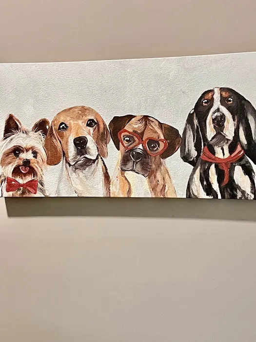 My Vet Animal Hospital 12