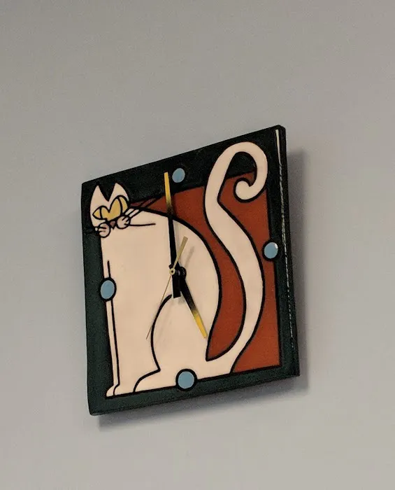 Cat Doctor 12