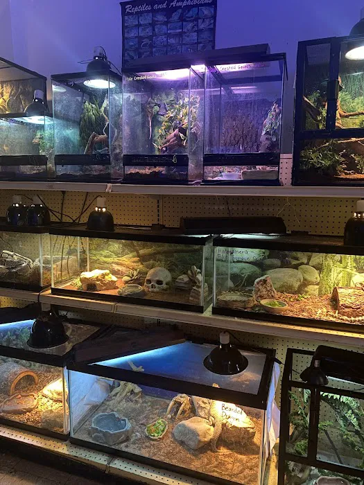 Jay's Jungle 12