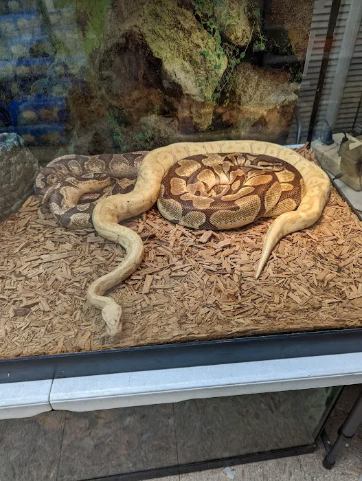 Jay's Jungle 12