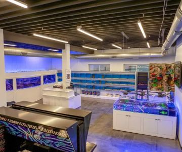 Aquatic Dreams NSL