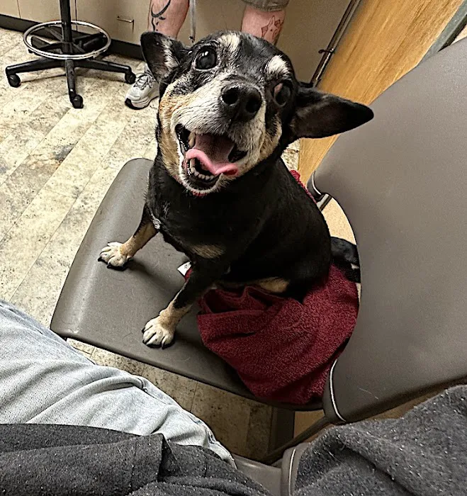 Annehurst Veterinary Hospital 12