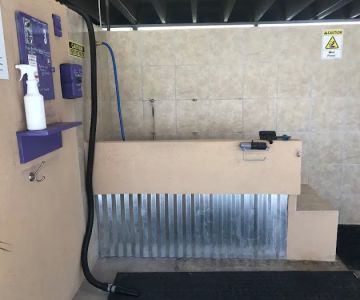 Self Dog Wash