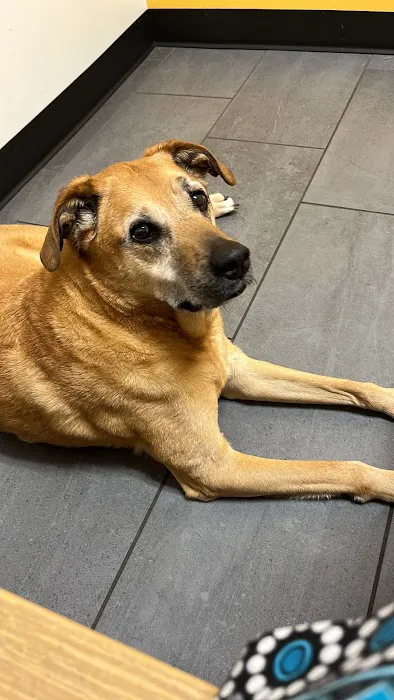 Banfield Pet Hospital 4