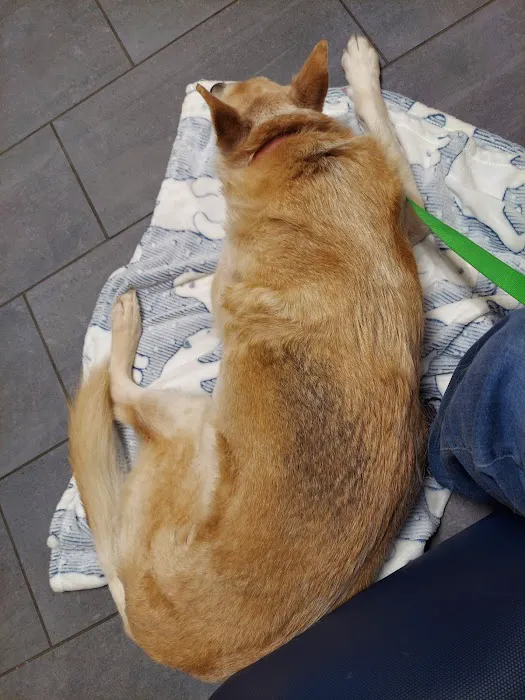 Banfield Pet Hospital 2
