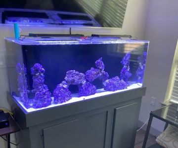Rusty's Reefs