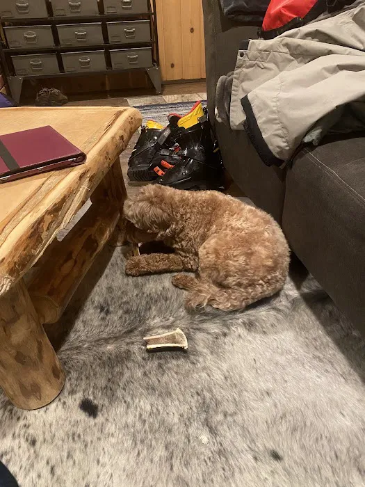 Penny's Antlers 6