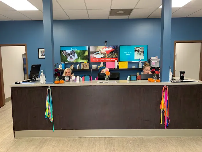 Westerville Veterinary Clinic 12