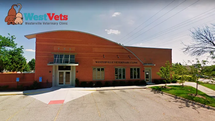 Westerville Veterinary Clinic 12