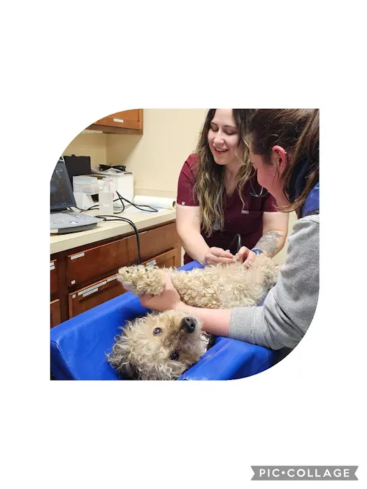 Westerville Veterinary Clinic 12