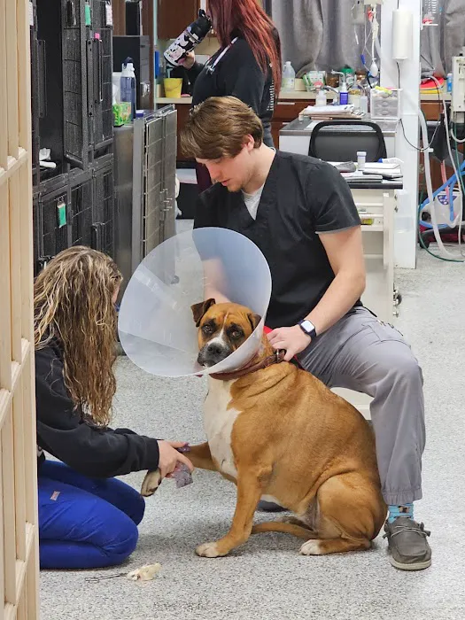 Westerville Veterinary Clinic 12