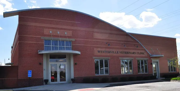 Westerville Veterinary Clinic 12