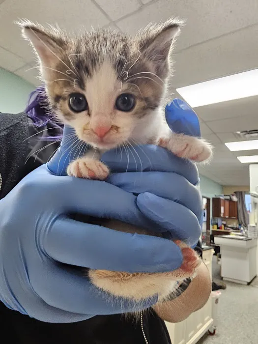 Westerville Veterinary Clinic 12