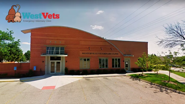 WestVets Emergency Veterinary Clinic 12