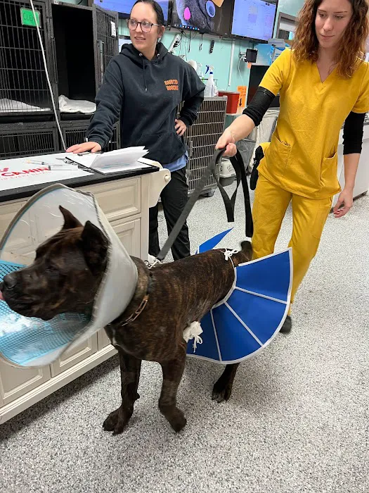 WestVets Emergency Veterinary Clinic 12