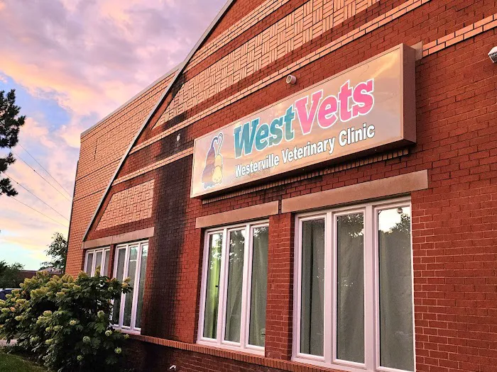 WestVets Emergency Veterinary Clinic 12