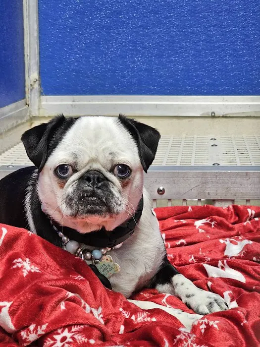 WestVets Emergency Veterinary Clinic 12