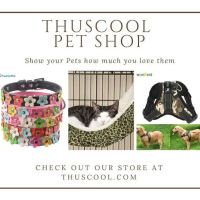 Thuscool ico