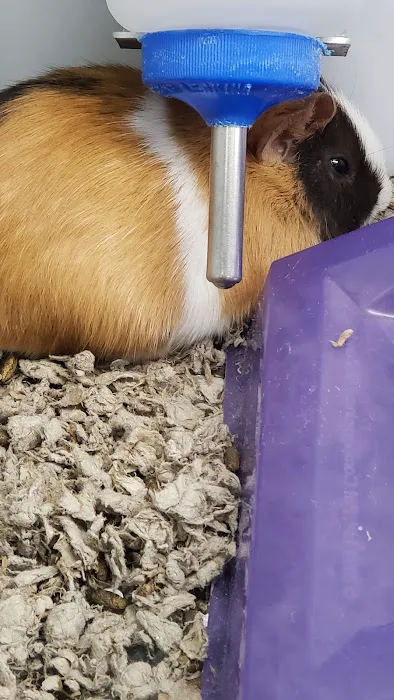 Petco 12
